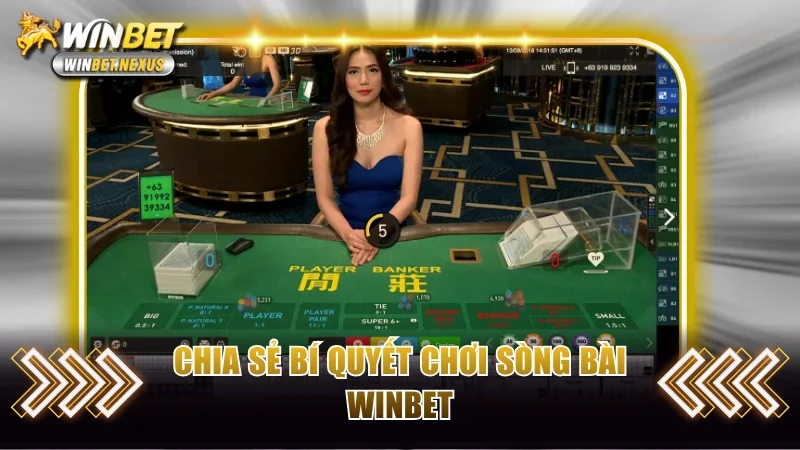 Chia sẻ bí quyết chơi sòng bài WINBET