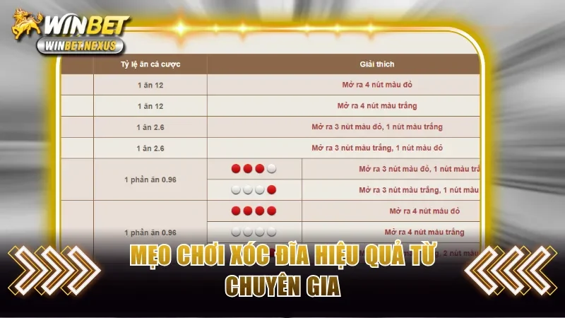 Một vài mẹo cược hiệu quả có thể áp dụng khi chơi xóc đĩa 