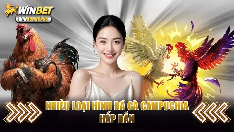 Nhiều loại hình đa dạng cho bạn thỏa thích trải nghiệm 