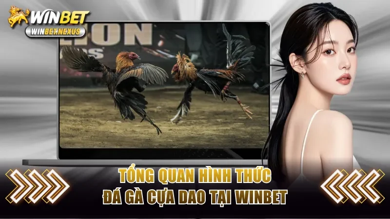 Tổng quan hình thức đá gà cựa dao tại WINBET